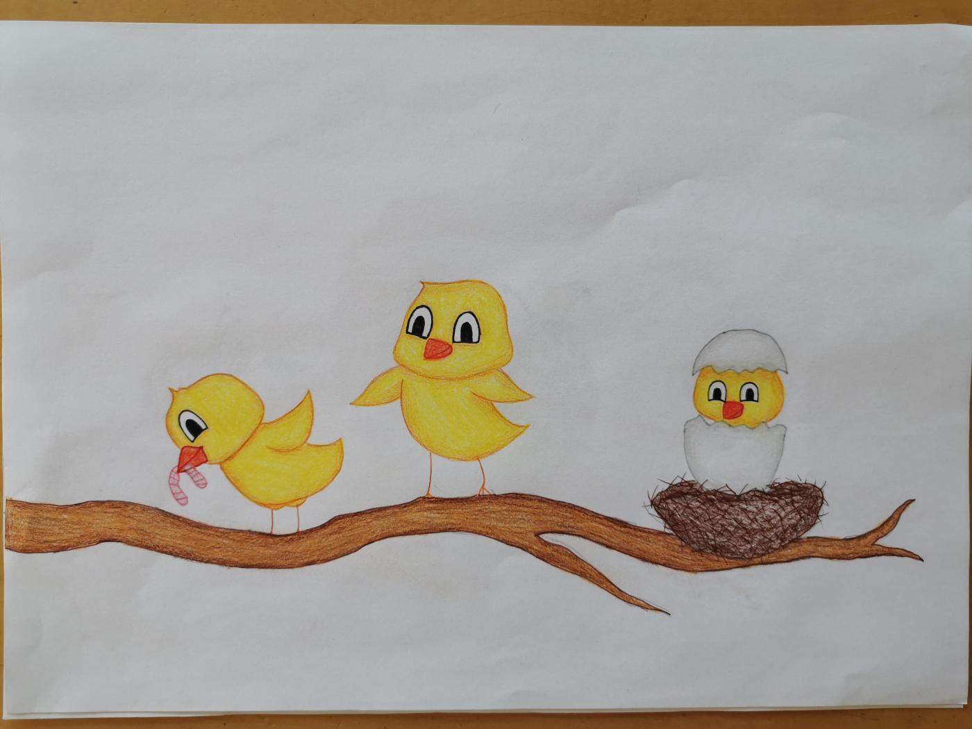 Verena Eder Drei Küken in Comiczeichnung