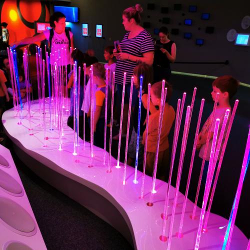 Die Haarzellenlandschaft im Audioversum