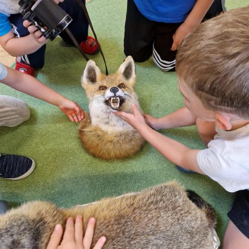 Kinder streicheln  den Fuchs