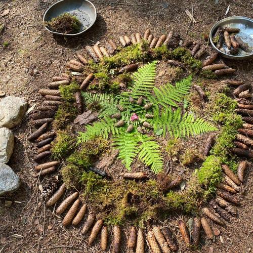Ein Mandala  am Waldboden mit Farnen, Moss und Tannenzapfen