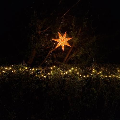 Die Hecke mit einer Lichterkette geschmückt und einem leuchtenden Stern am Baum hängend