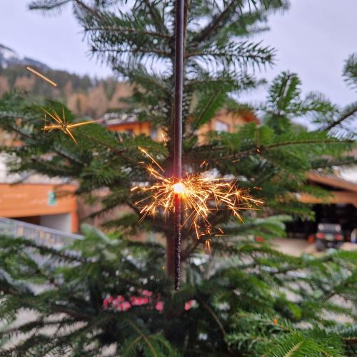 Ein Sternspritzer  am Baum