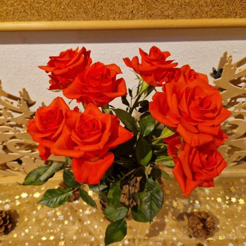 Ein Strauß Rosen als Geschenk für uns von einem Besucher