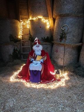 Der Nikolaus in mitten von Stroh mit weihnachtlicher Beleuchtung