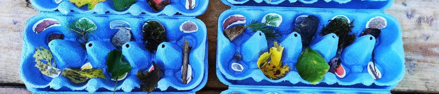 Mehrere Eierkartonschachteln mit Sammelmaterialien
