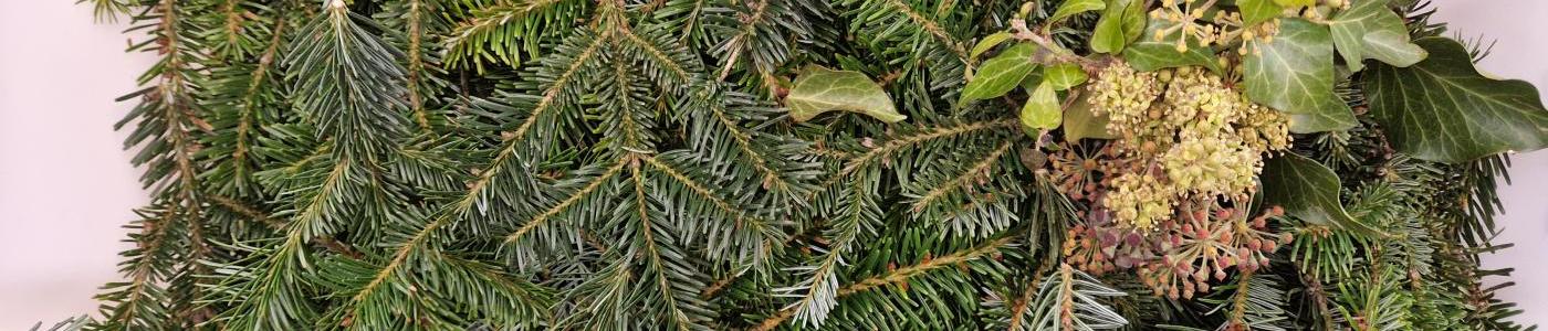 © cc abgeschnittene Tannenzweige und Buchsblüten