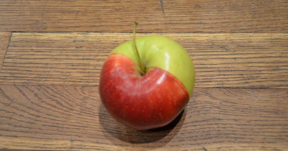 Zwei apfelhälften (eine grünen und eine rote) zu einem Apfel zusammengeführt
