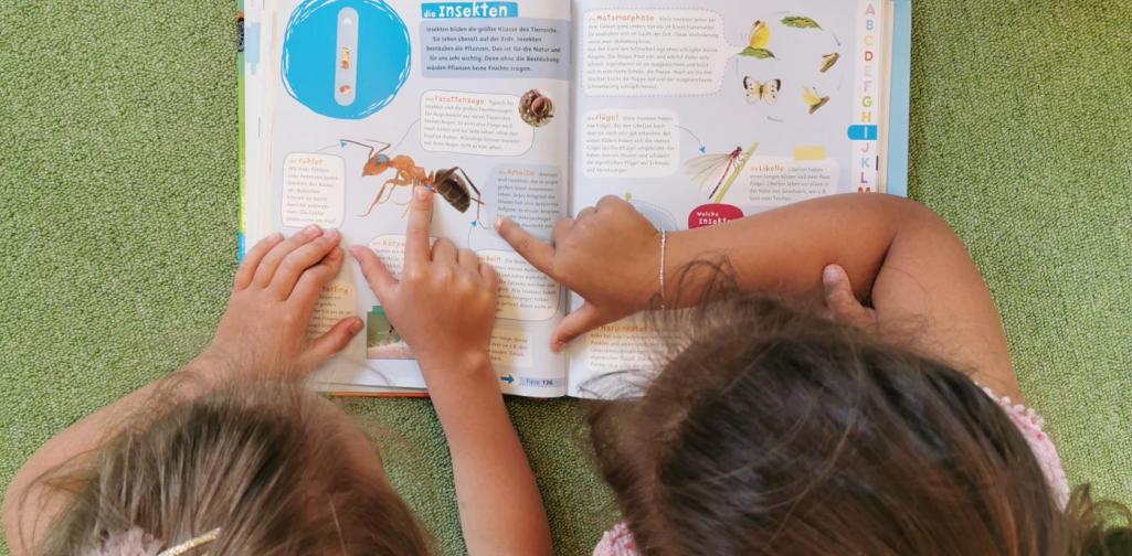 Verena Eder Zwei auf dem Bauch liegende Kinder schauen ein Lexikon an