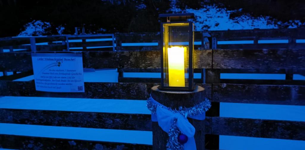 Verena Start des Weihnachtspfades mit einer Laterne auf einem Baumstamm