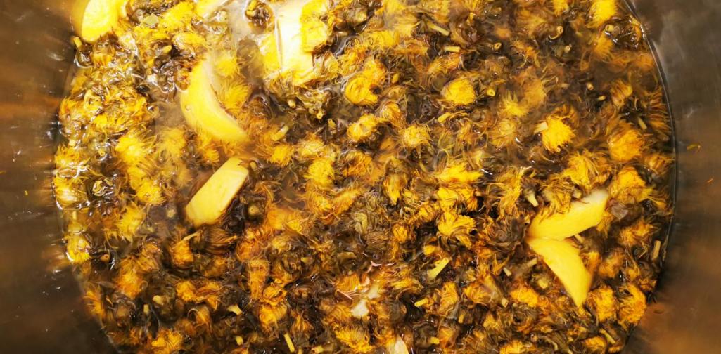 Verena Löwenzahnblüten mit Zitronenscheiben im Kochtopf