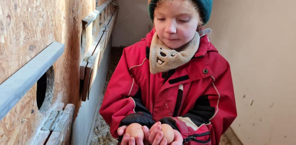 Barbara Ein Mädchen hält zwei Eier in der Hand, welche es gerade aus dem Hühnernest entnommen hat