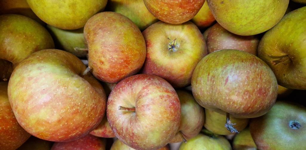 Verena Eder Eine Apfelkiste