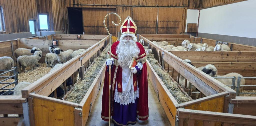 Der Nikolaus inmitten der Schafe im Stall